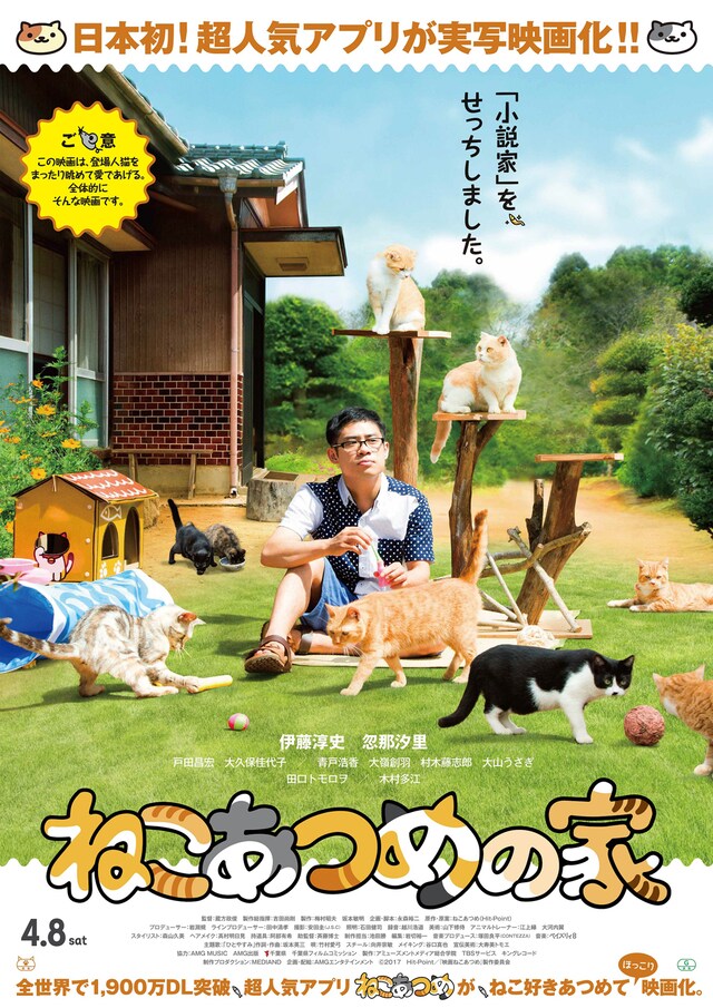 「ねこあつめの家」ビジュアルキャット版