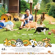 猫まみれの庭収めた「ねこあつめの家」ビジュアル解禁