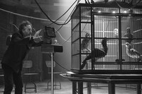 「ミス・ペレグリンと奇妙なこどもたち」撮影中のティム・バートン。