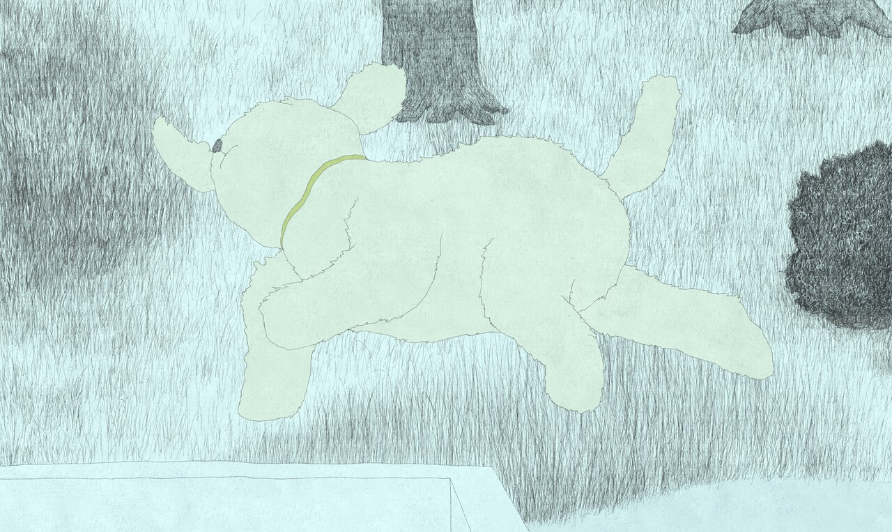 ベルリン審査員賞を獲得、アニメーション作家・和田淳の個展が横浜で開催