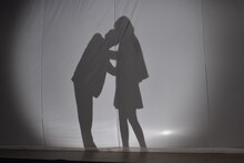 “カーテンの刑”を再現する中川大志（左）と飯豊まりえ（右）のシルエット。