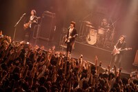 the pillows （Photo by Kugino Takahiro）