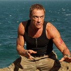 ヴァン・ダムが極悪軍団とデスマッチ、息子と共演、虎と激闘!出演作5本明日OA