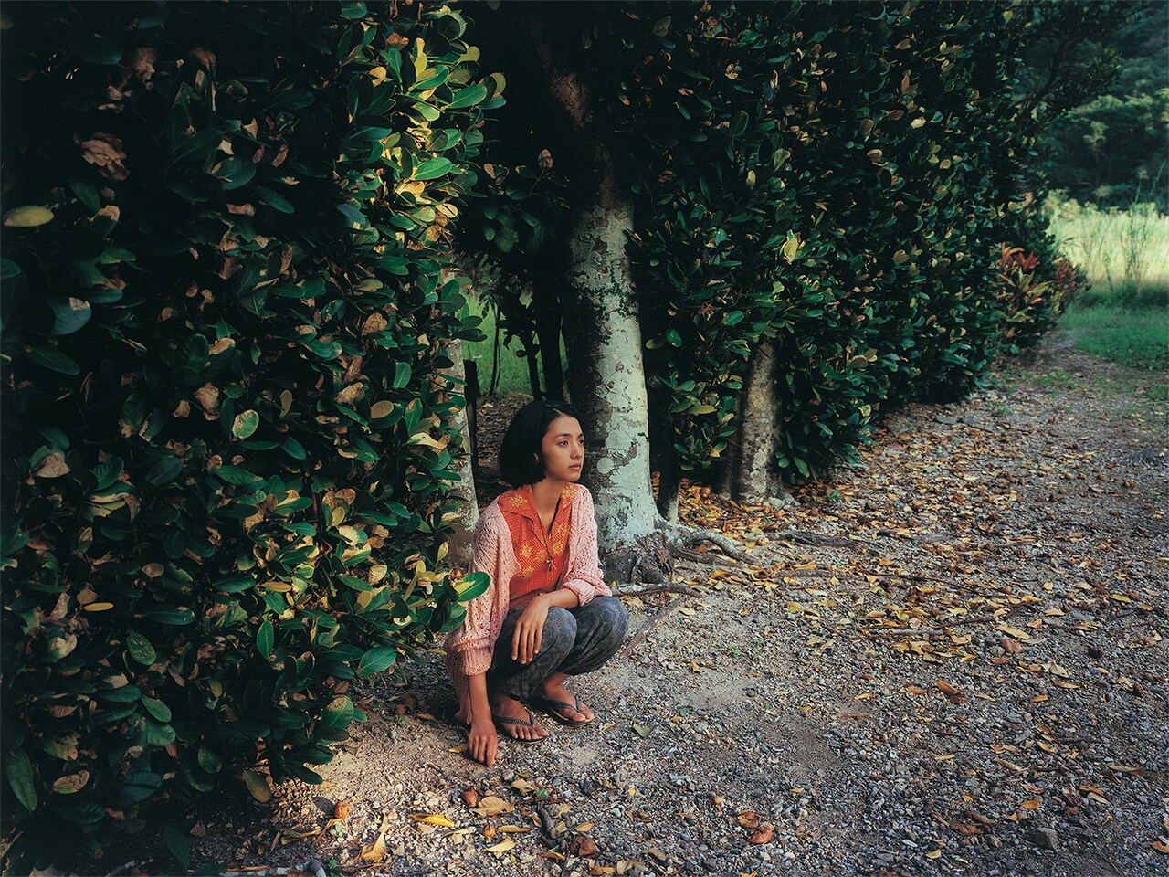 「海辺の生と死」