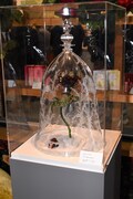 「美女と野獣」コーナーに展示されているバラのガラスドーム。
