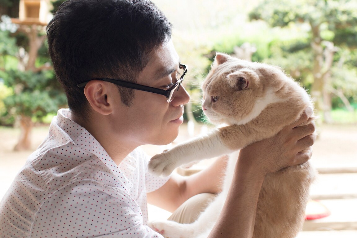 「ねこあつめの家」