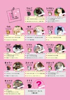 「ねこあつめの家」に登場する猫たち。