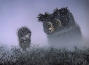 「霧の中のハリネズミ」 (c)2016  F.S.U.E.  C&P  SMF