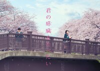 「君の膵臓をたべたい」メインビジュアル