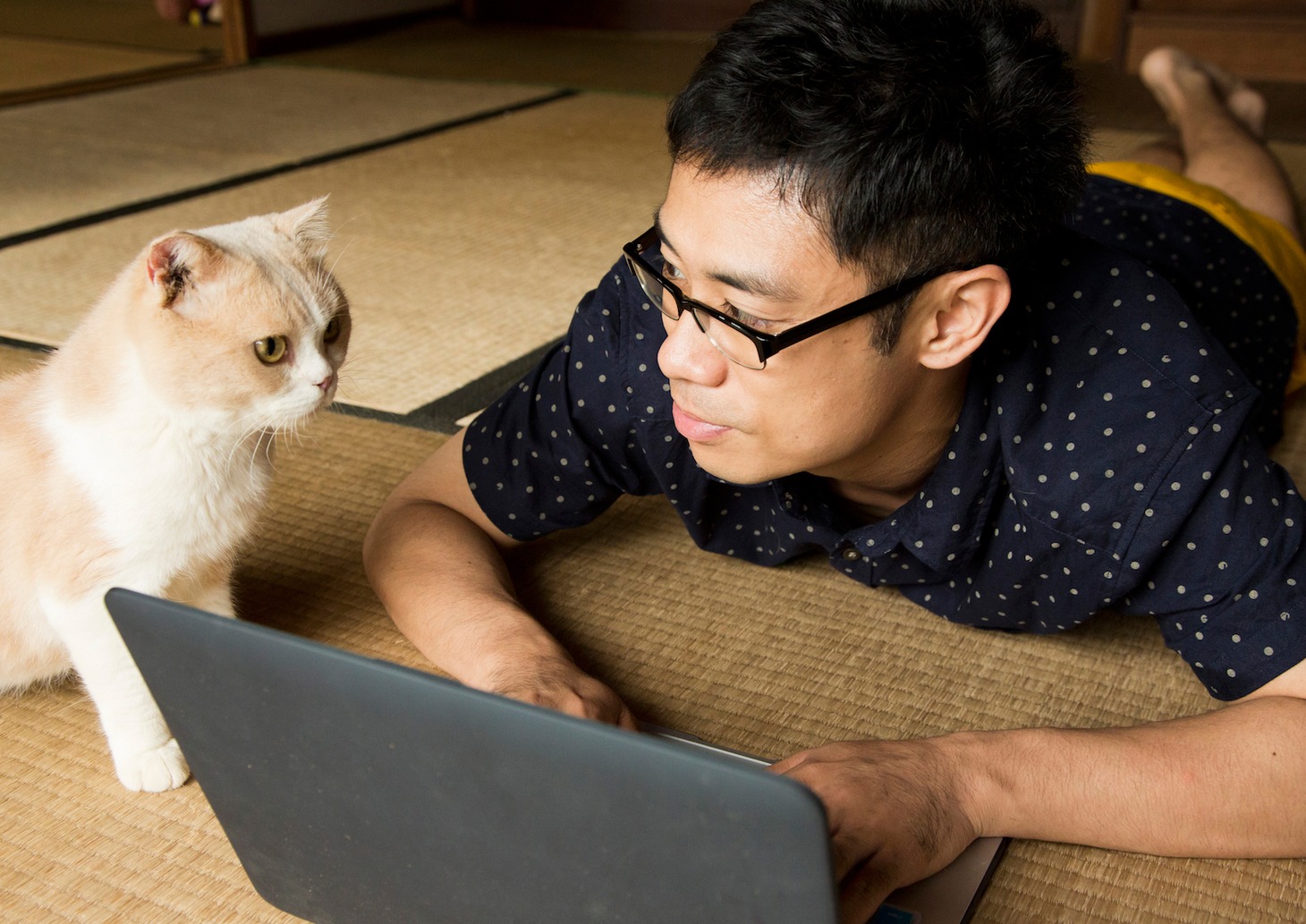「ねこあつめの家」