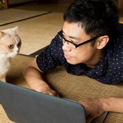 どこもかしこも猫、猫、猫!「ねこあつめの家」猫まみれの予告編
