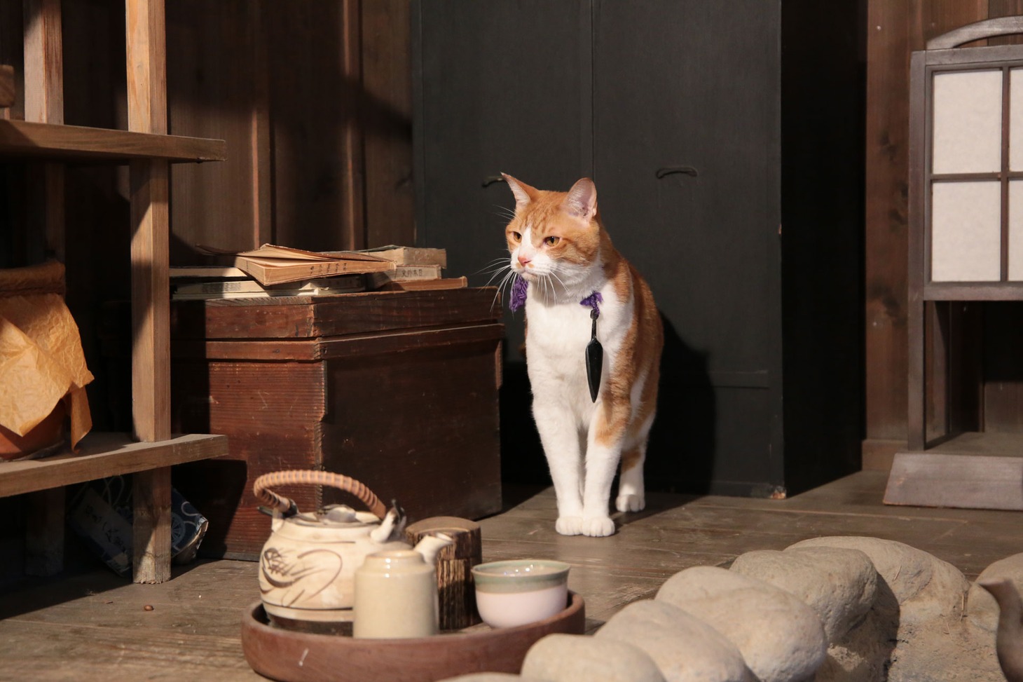 「猫忍」で父上に扮する金時。