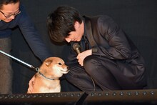 チョコをなでる林遣都。