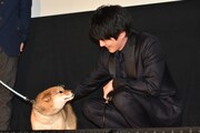 柴犬チョコをなでる林遣都。