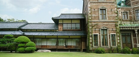 「お嬢さん」新写真