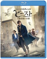 「ファンタスティック・ビーストと魔法使いの旅」ブルーレイ＆DVDセットのジャケット。