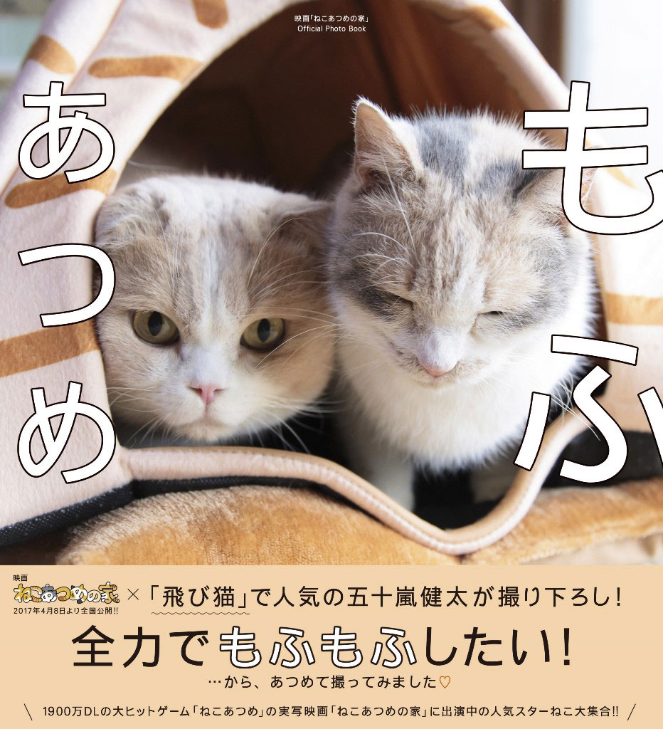 「もふあつめ」書影。(c)KADOKAWA／五十嵐健太