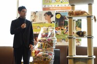 「ねこあつめの家」イベントの様子。