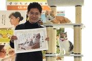 「ねこあつめの家」イベントの様子。