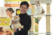 「ねこあつめの家」イベントの様子。