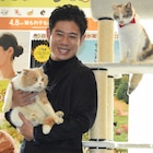「ねこあつめの家」伊藤淳史が猫カフェに感動「こんな素敵な空間があるとは」