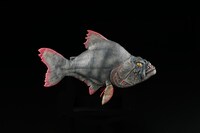 ピラニア・プロップ・レプリカ・モデル（ファイバーグラス版）