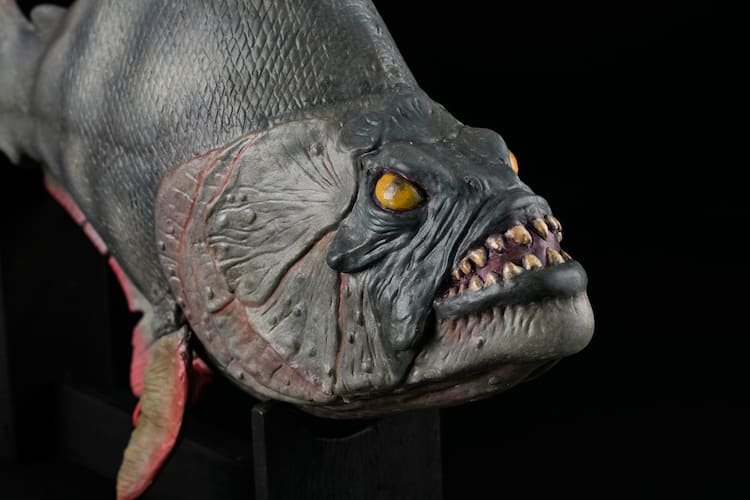 ピラニア」食人魚のレプリカ2種を限定50体ずつ販売、予約受付中 - 映画 