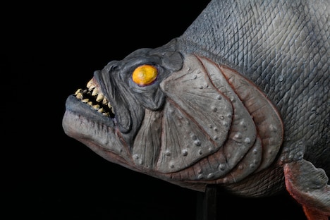 ピラニア・プロップ・レプリカ・モデル（レイテックス版）