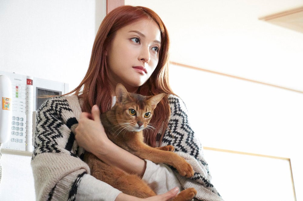 元KARAのパク・ギュリ主演、不思議な猫がもたらす奇跡描く「サヨナラの伝え方」