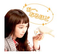 「きょうのキラ君」LINEスタンプ