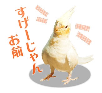 「きょうのキラ君」LINEスタンプ