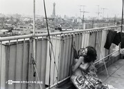 「（秘）色情めす市場」