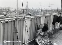 「（秘）色情めす市場」