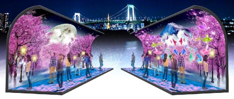 ILLUSION DOMEのイメージ。