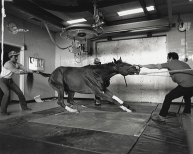 「競馬場」
