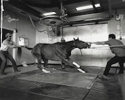 「競馬場」