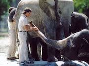 「動物園」
