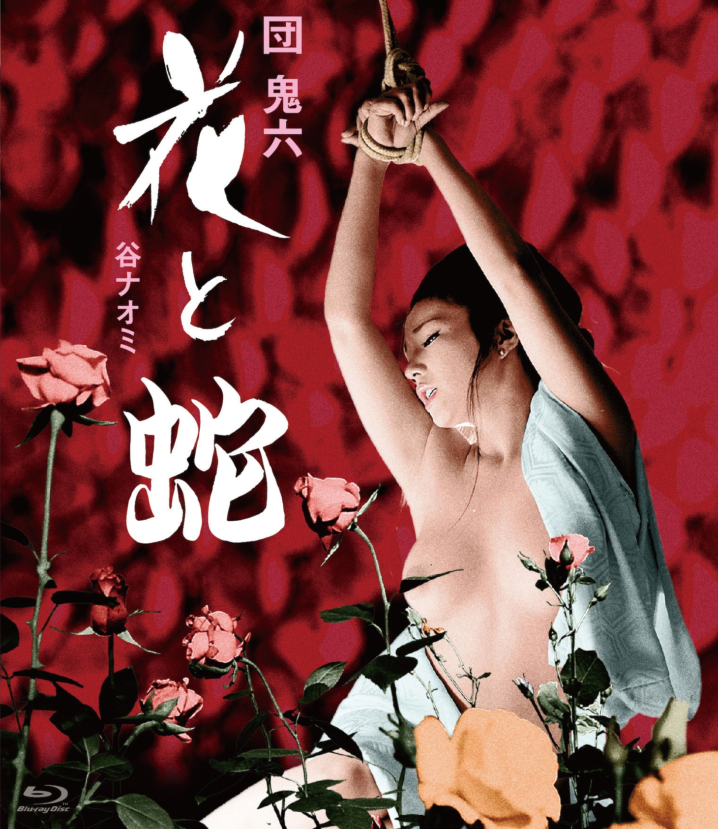 「花と蛇」ビジュアル