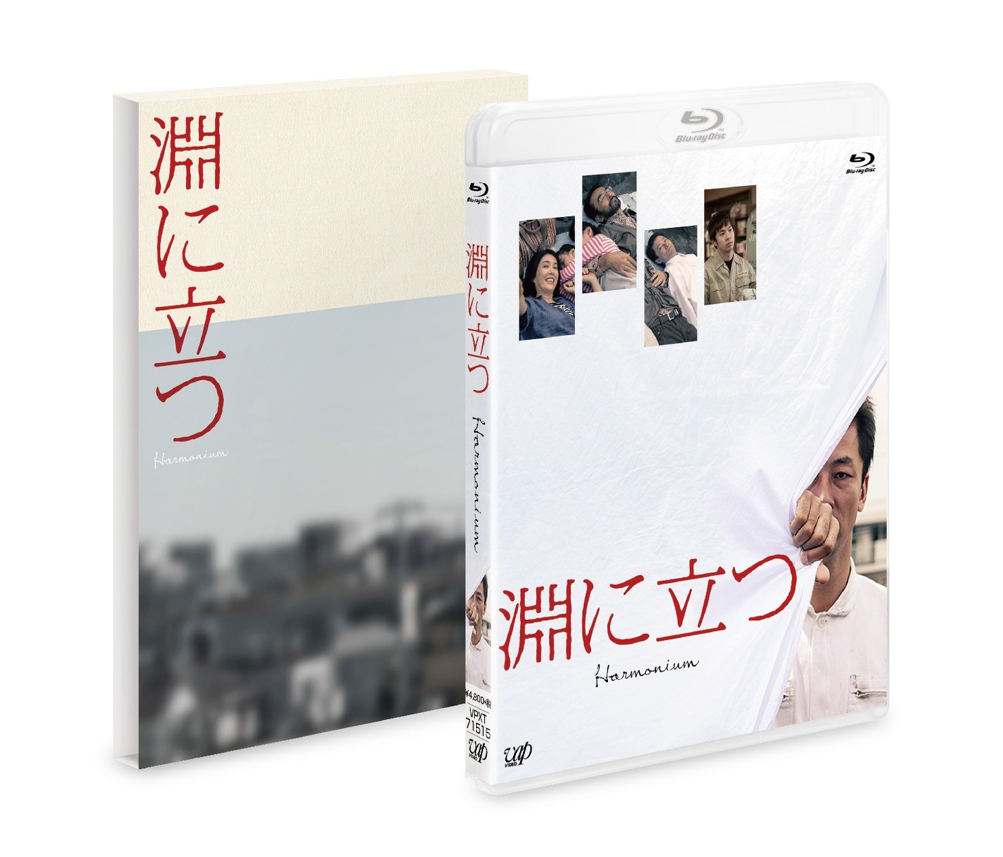 「淵に立つ」豪華版Blu-ray