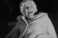 「ハネムーン・キラーズ」