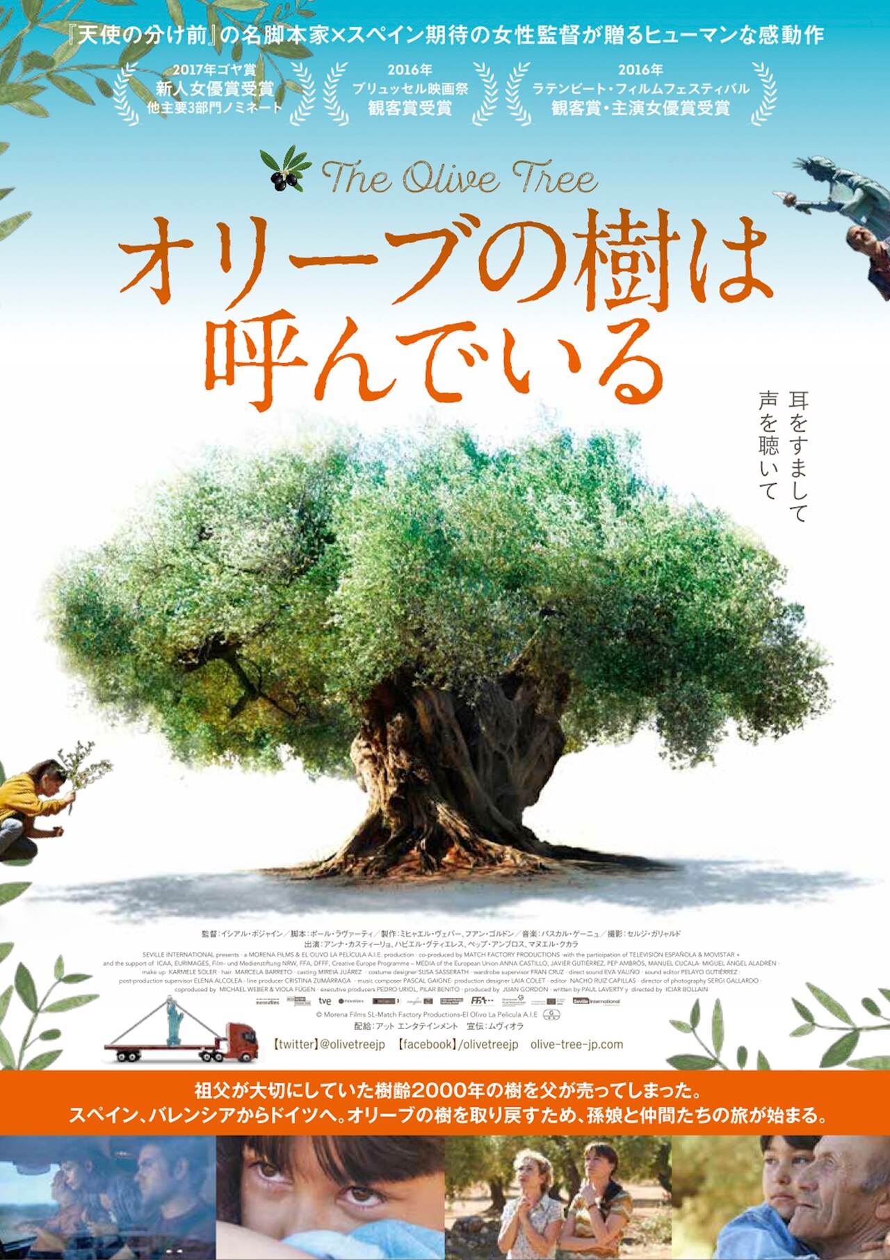 樹齢2000年の木を取り戻すため旅立つ「オリーブの樹は呼んでいる」予告編解禁