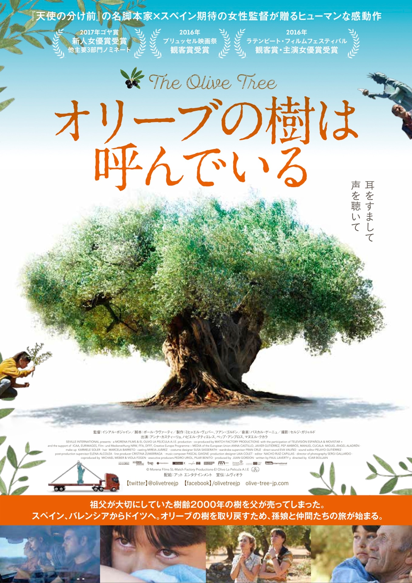 「オリーブの樹は呼んでいる」ポスタービジュアル