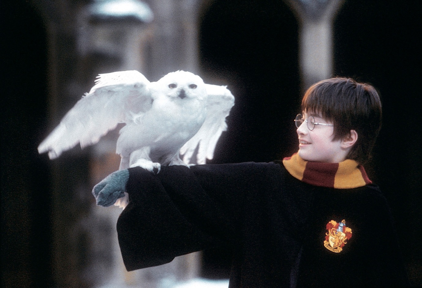 「ハリー・ポッターと賢者の石」 (c)TM & (c)2001 Warner Bros. Ent. , Harry Potter Publishing Rights (c)J.K.R.