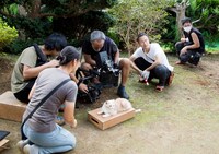 「ねこあつめの家」新写真