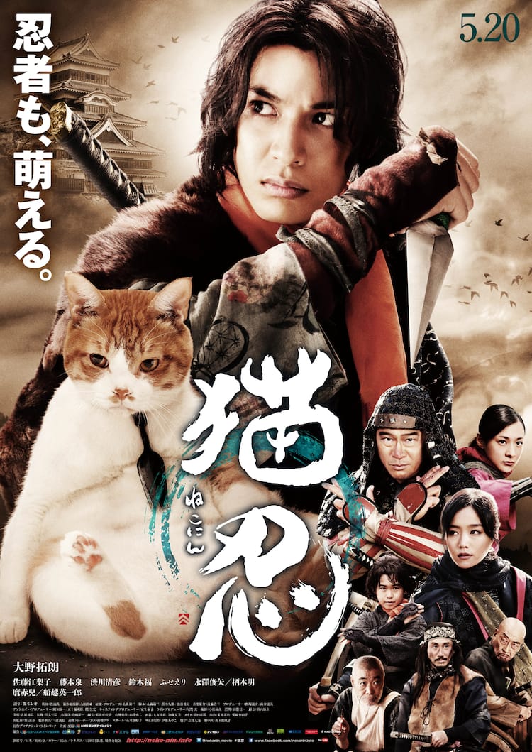 猫 忍