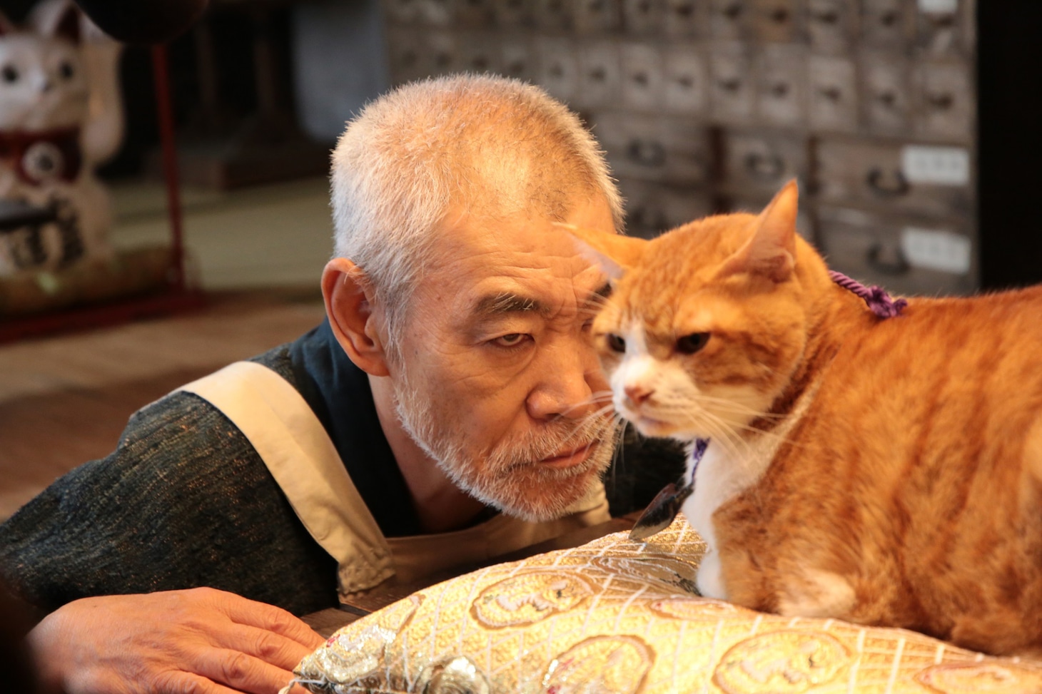 「猫忍」