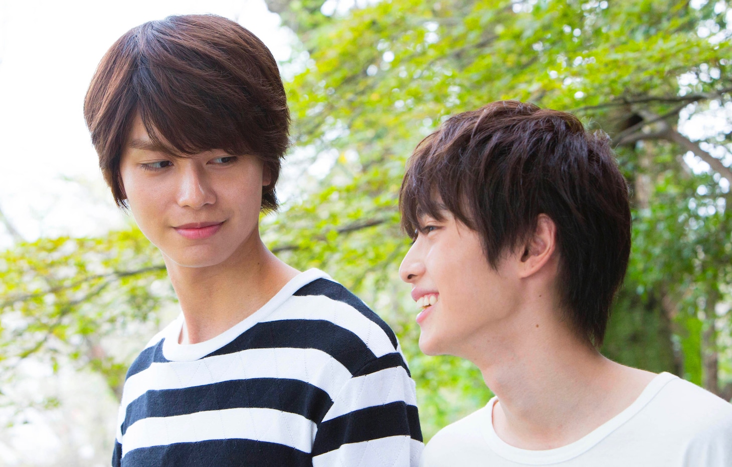 「ひだまりが聴こえる」場面写真