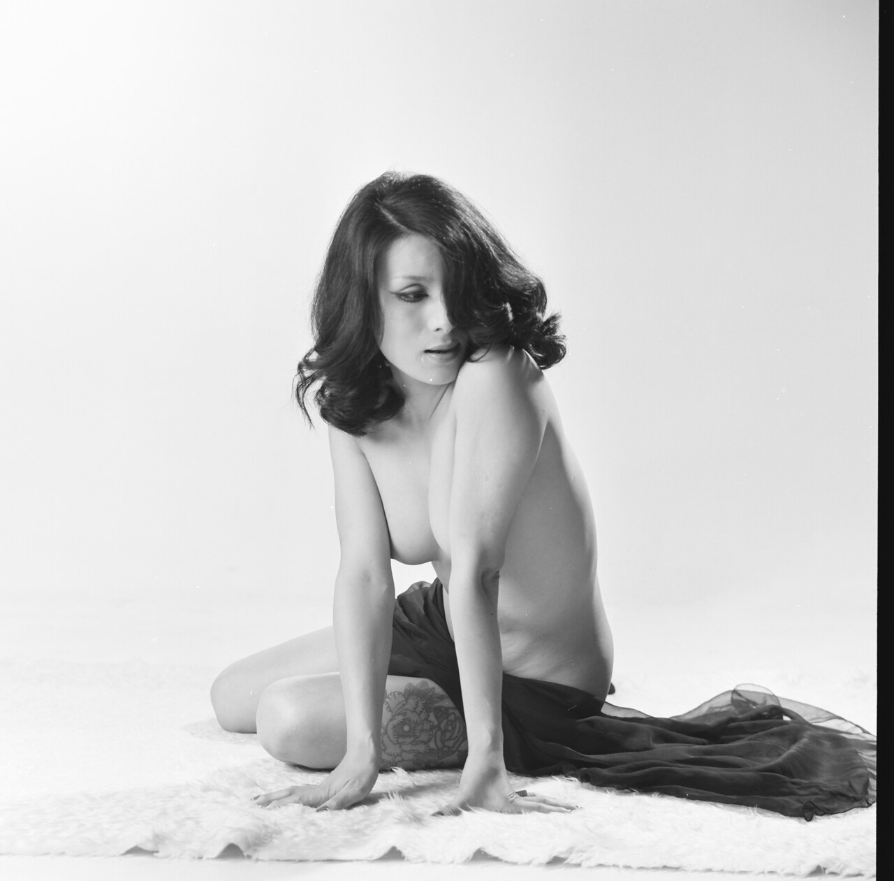 日活ロマンポルノ2作品が初DVD化、主演のカルーセル麻紀と田中真理からコメント