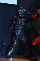 カラスアマゾン