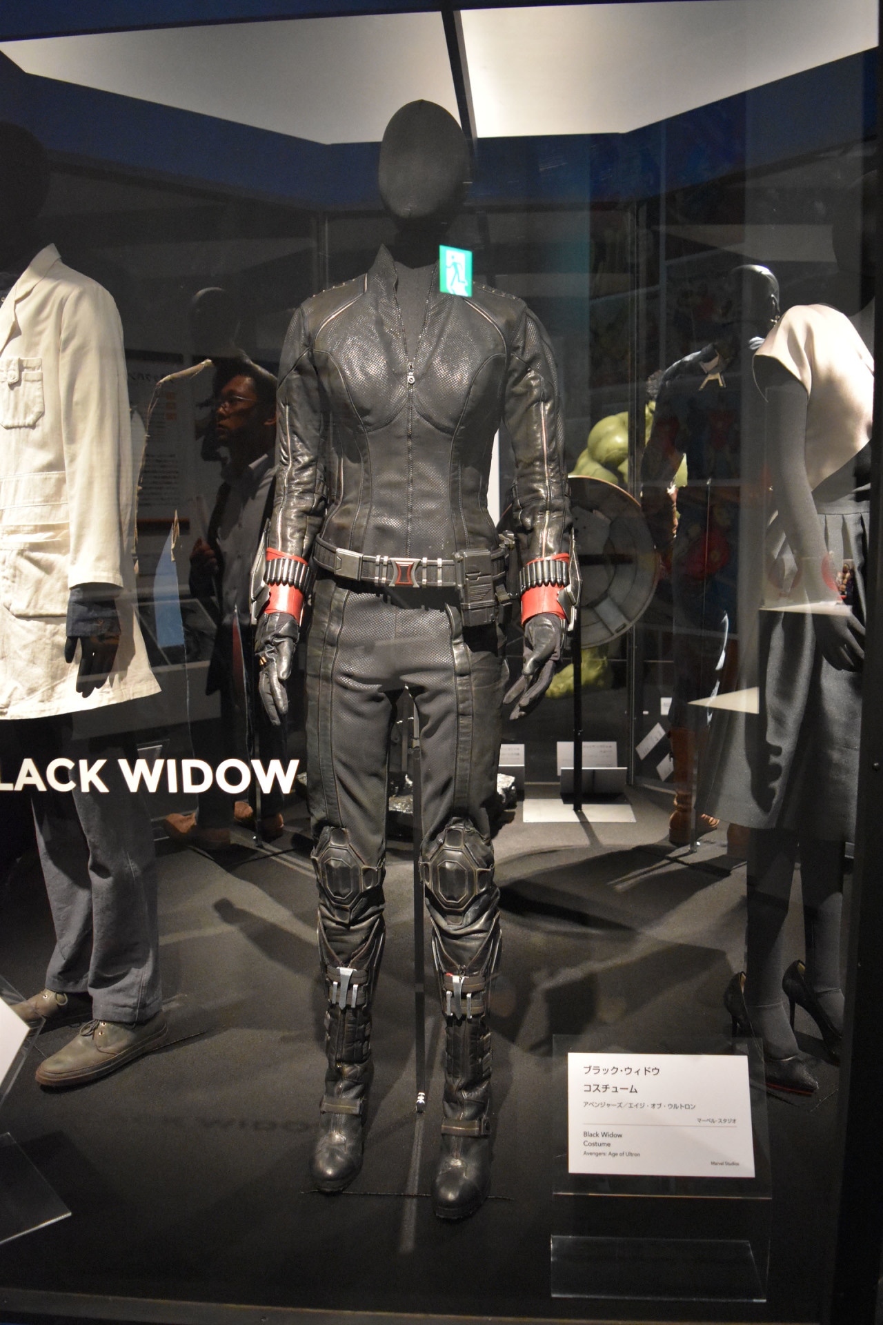 「アベンジャーズ／エイジ・オブ・ウルトロン」より、ブラック・ウィドウのコスチューム。